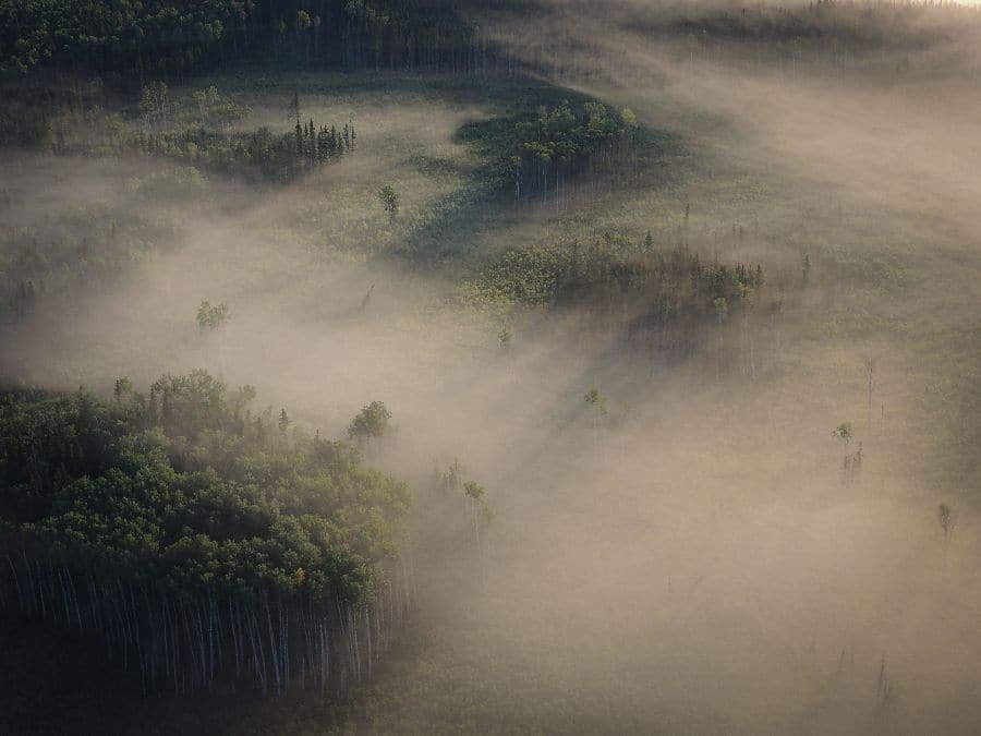 Lauren longo mist kissed meadow