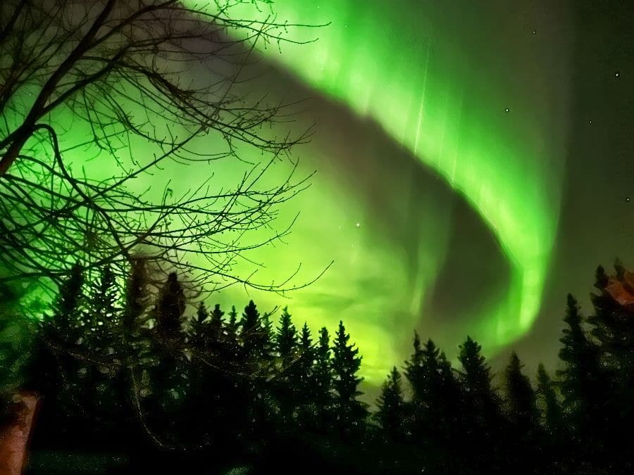 Rose vercholuk sky of wonder