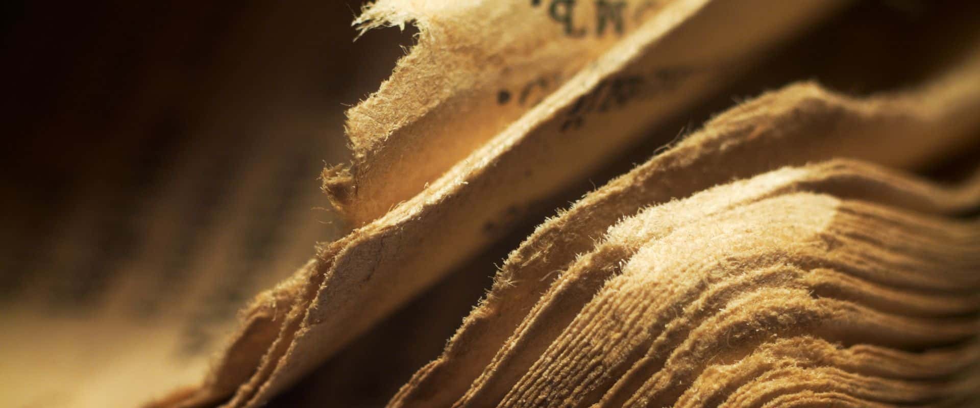 Header book closeup 03