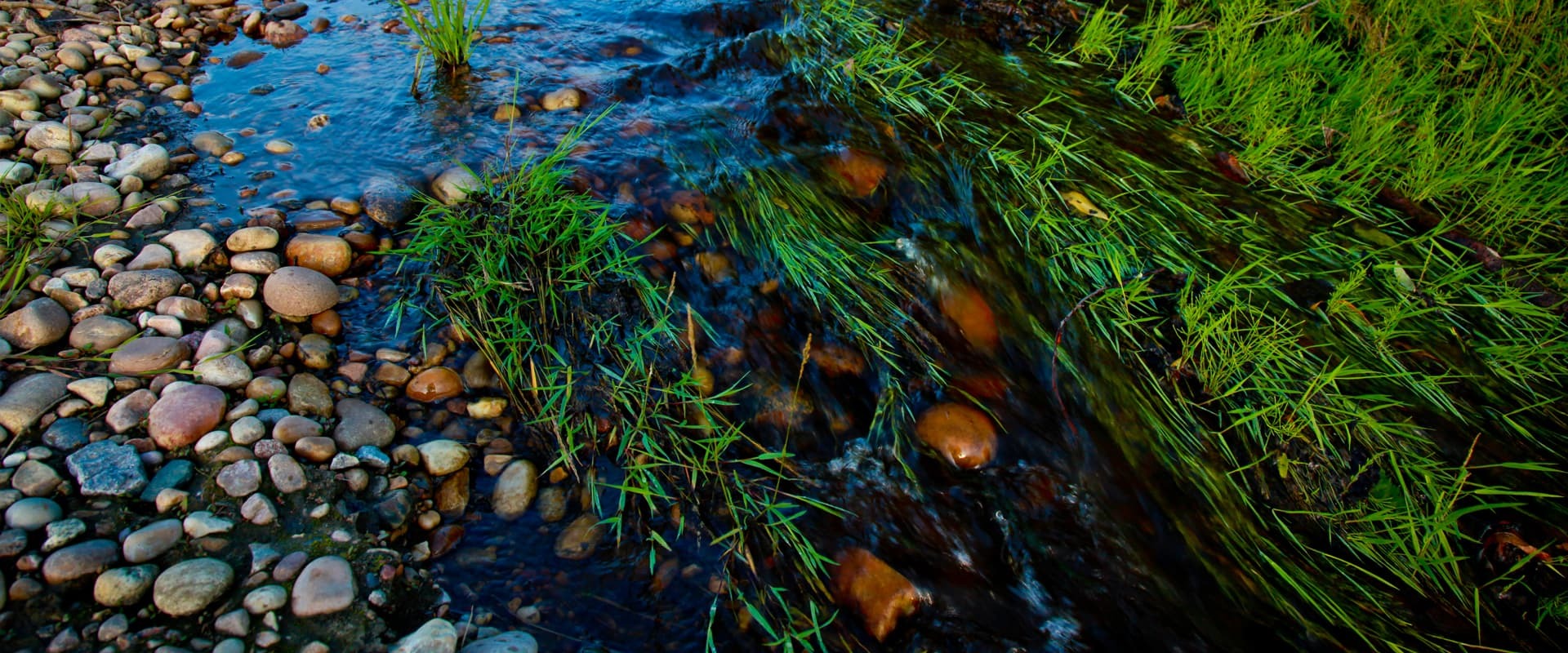 Header creek closeup 01