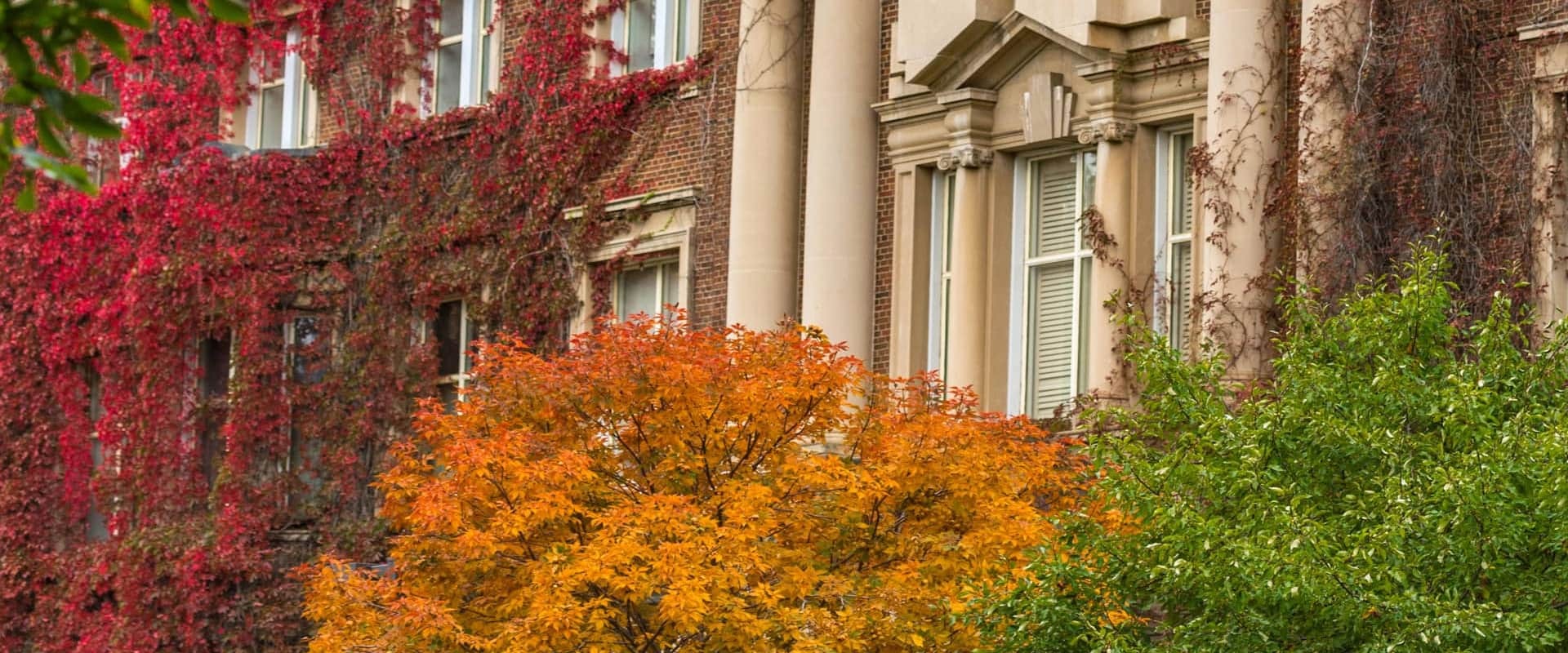 Header university of alberta 01