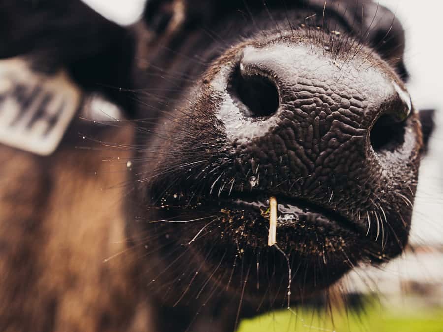 Ih photo contest 2024 09