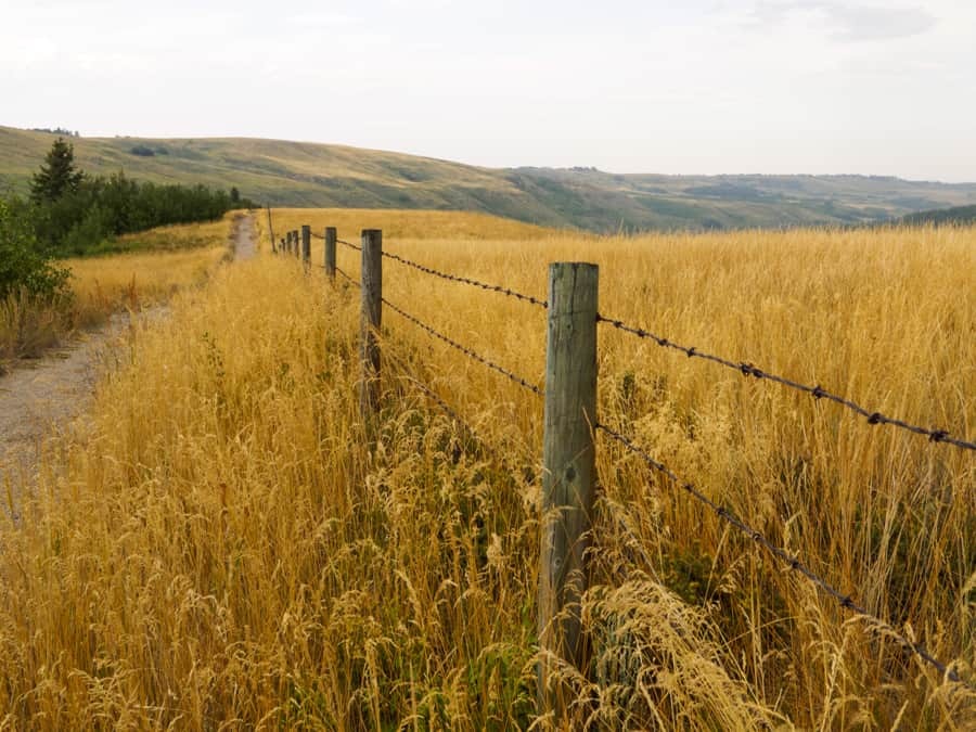 Ih fenceline 01 Ih fenceline 01