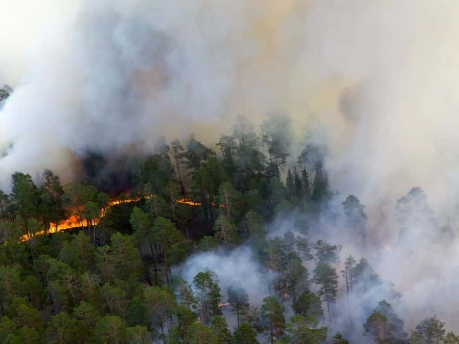 Ih aerial wildfire forest 01