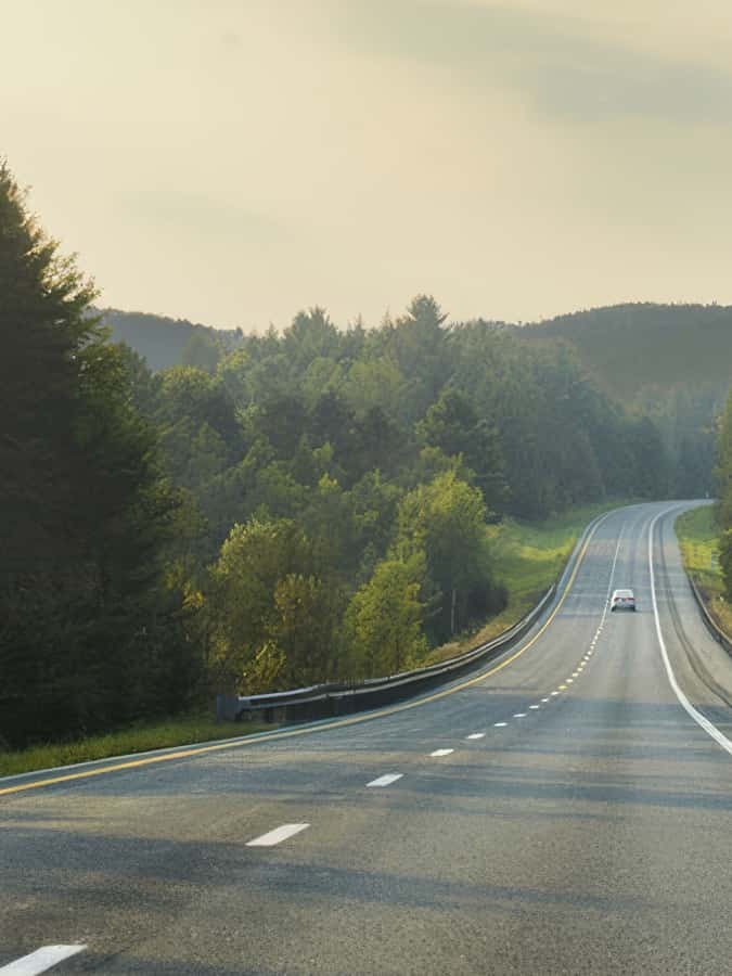 Iv forest highway 02