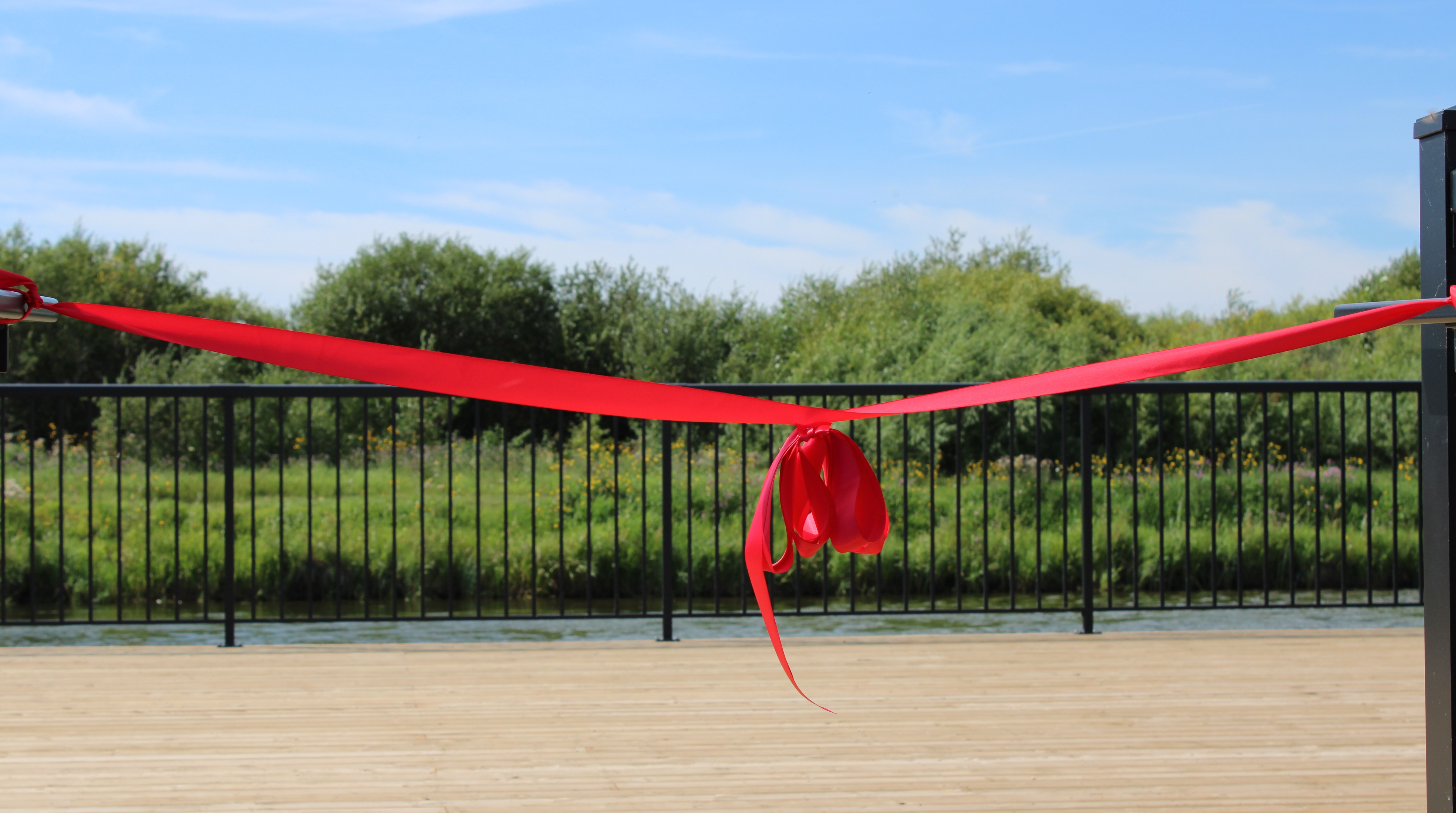 Ribbon